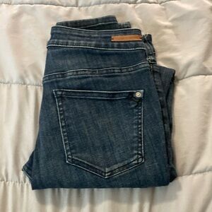 Anthropologie Blue Skinny Jeans with Subtle Fading